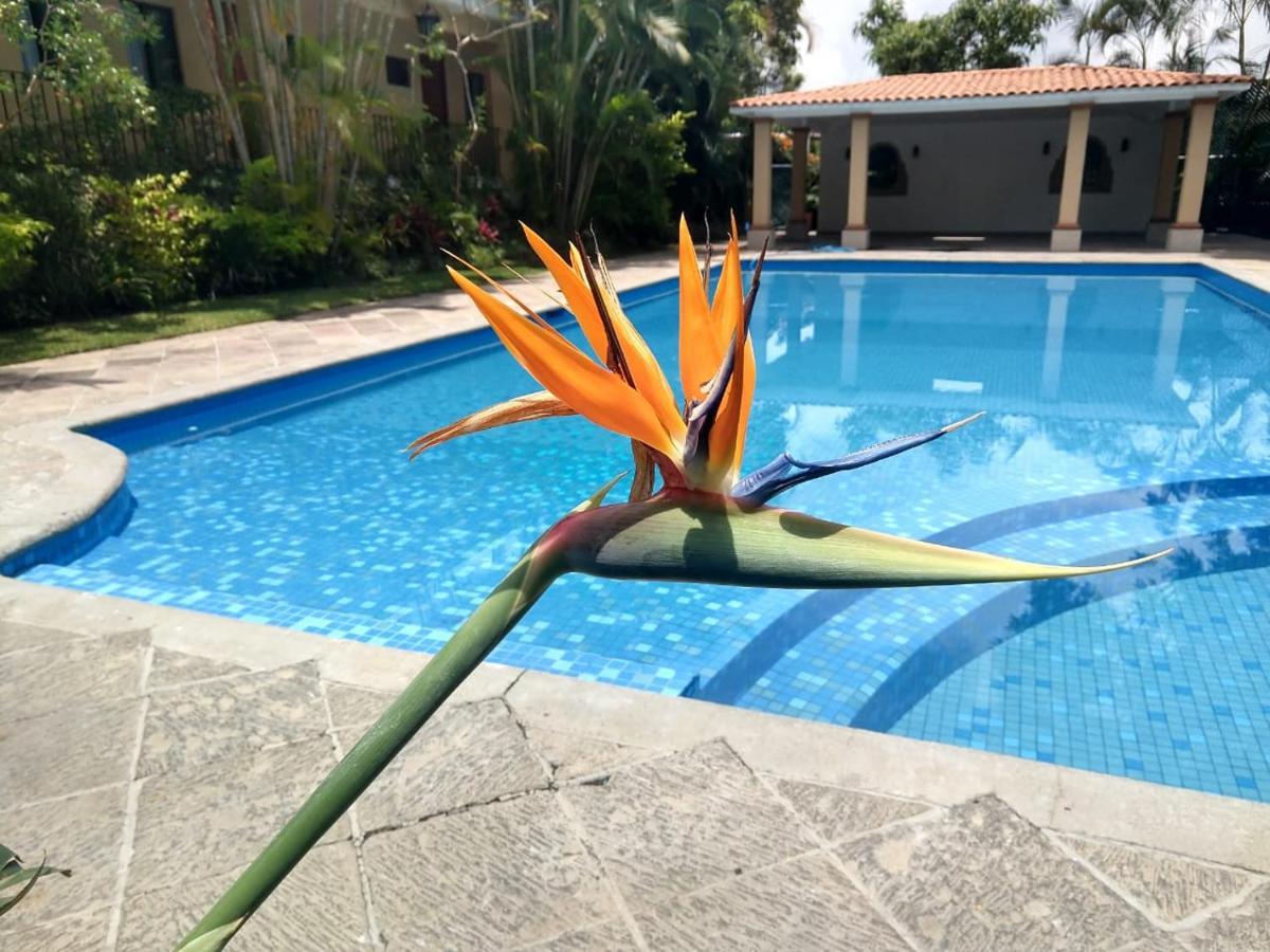 Hotel Spa Posada Tlaltenango Cuernavaca Zewnętrze zdjęcie